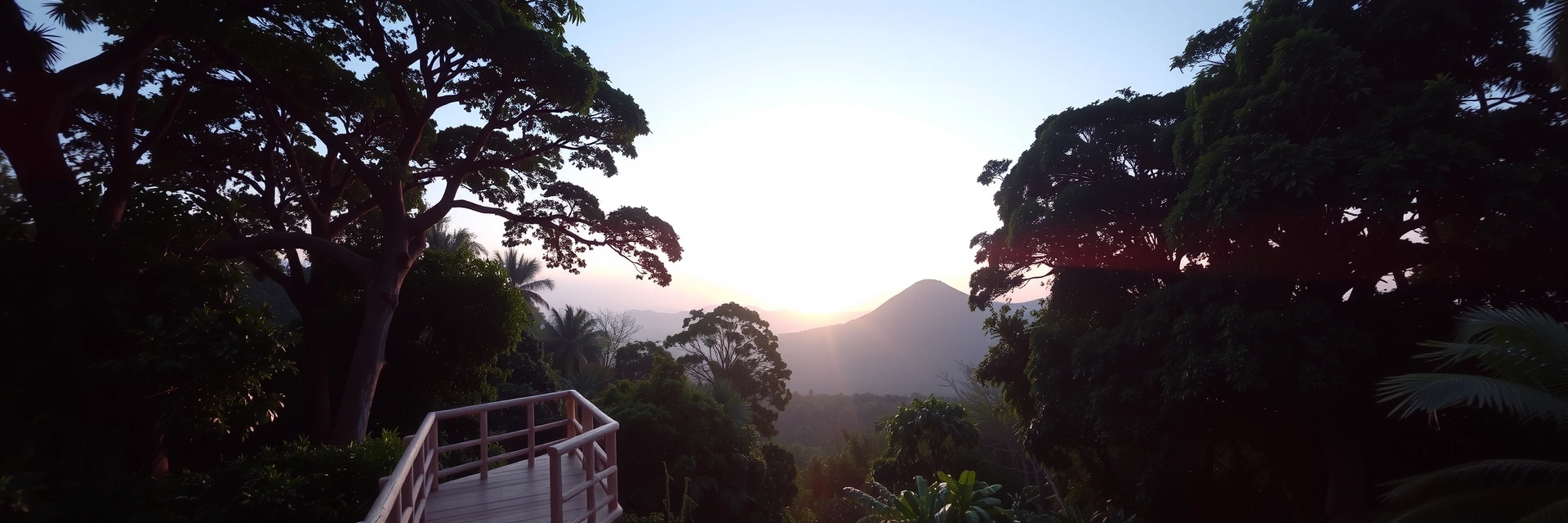 Precision and observation